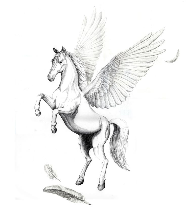 736x817 ponni's beloved chapter a flying horse - Flying Horse Drawing