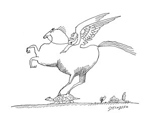 300x250 Winged Horse Drawings Fine Art America - Flying Horse Drawing