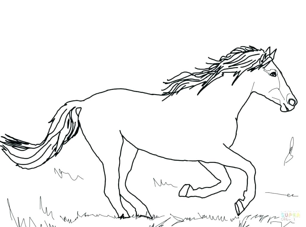 1024x759 Coloring Pages For Adults Online Disney Cars Flying Horse Unicorn - Flying Horse Drawing