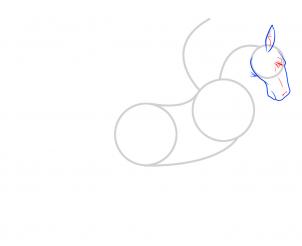 302x246 draw a flying horse, flying horse, step - Flying Horse Drawing