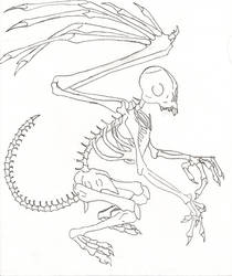210x250 Skeleton Flying Monkey - Flying Monkey Drawing