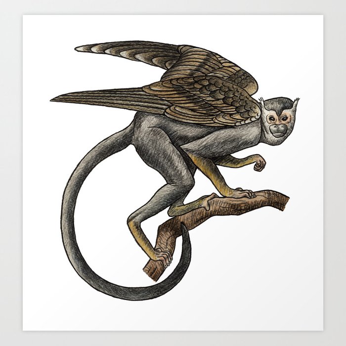 700x700 Flying Monkey Art Print - Flying Monkey Drawing