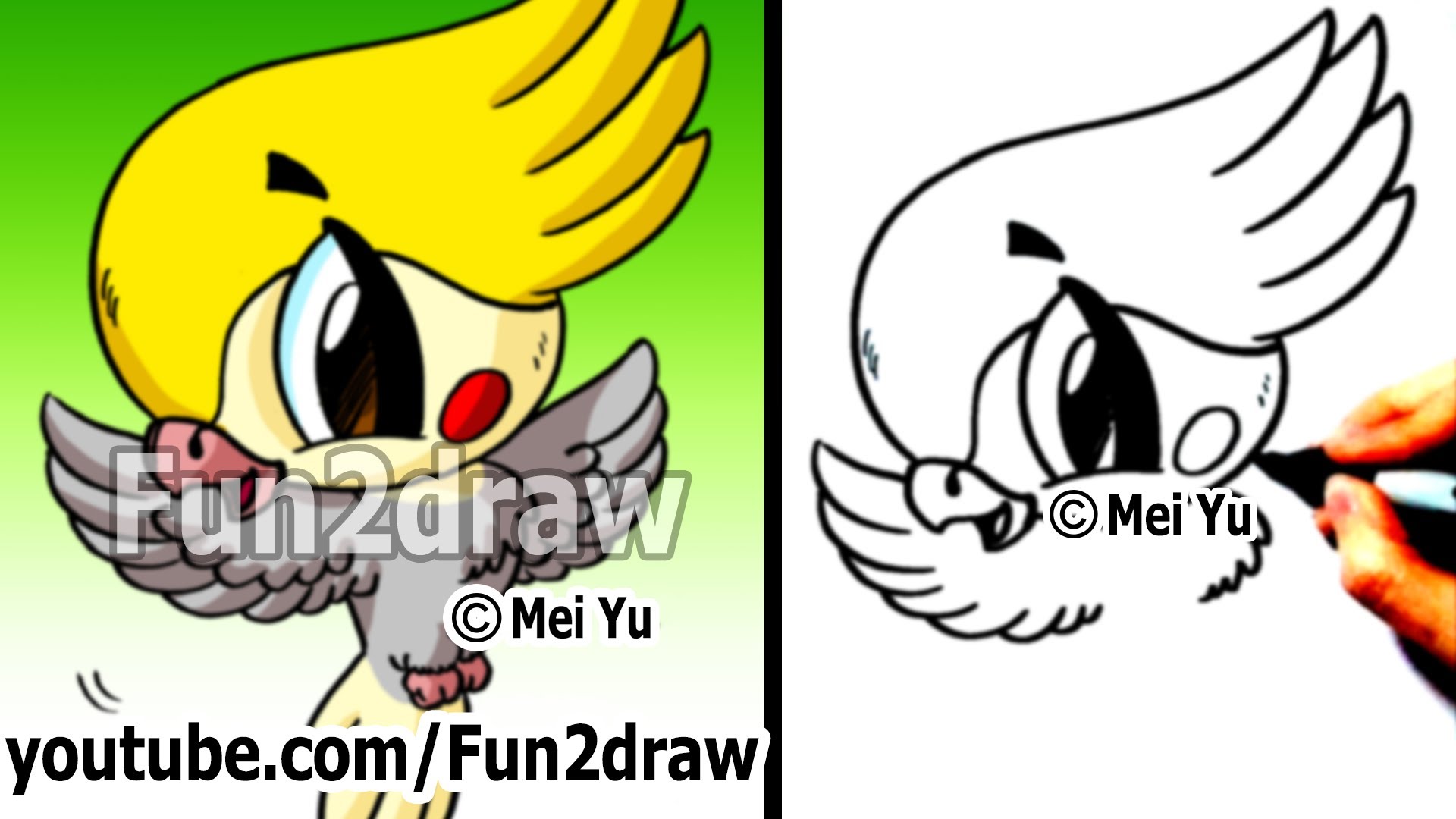 1920x1080 Easy Things To Draw How To Draw A Bird Flying Cockatiel - Flying Parrot Drawing