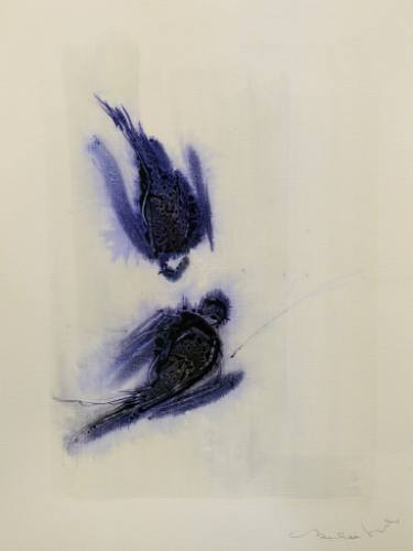 375x500 Flying Birds Drawing - Flying Parrot Drawing