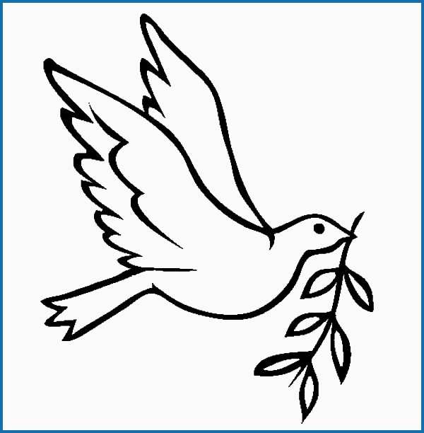 600x612 Flying Parrot Coloring Pages Good Dove Cartoon Drawing - Flying Parrot Drawing