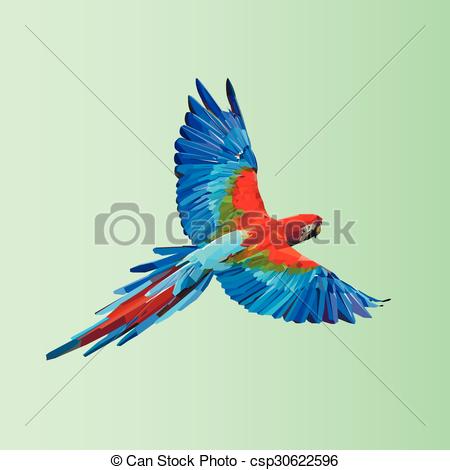 450x470 Flying Parrot Colorful Vector Illustration, The Object Of The Pieces - Flying Parrot Drawing