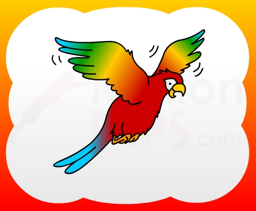 503x415 How To Draw Flying Parrot For Kids - Flying Parrot Drawing