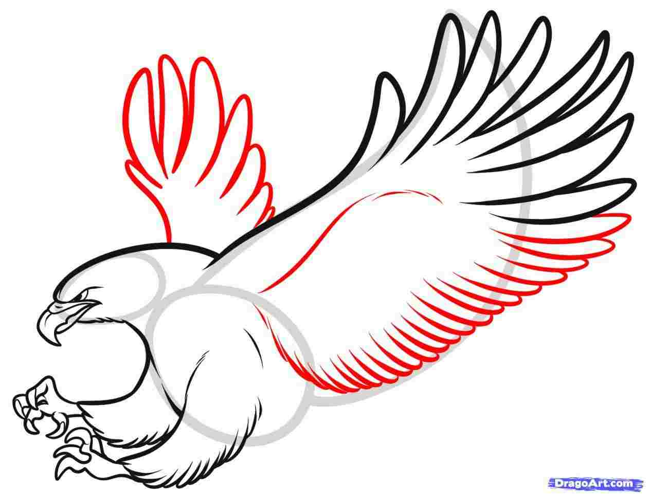 1264x969 Pencil Sketch Of Flying Birds - Flying Parrot Drawing