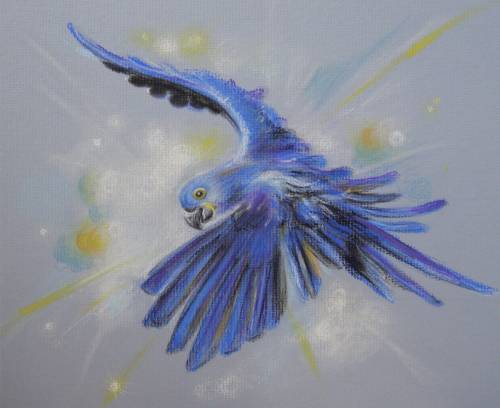 500x408 Drawing Flying Parrot Author Olga Levitckaia - Flying Parrot Drawing