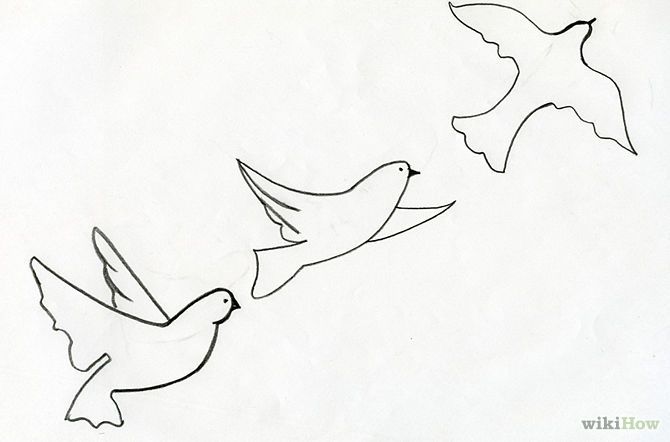670x442 Drawing Birds In Flight Deve Drawing - Flying Parrot Drawing