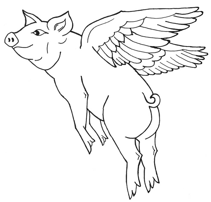 Flying Pig Drawing