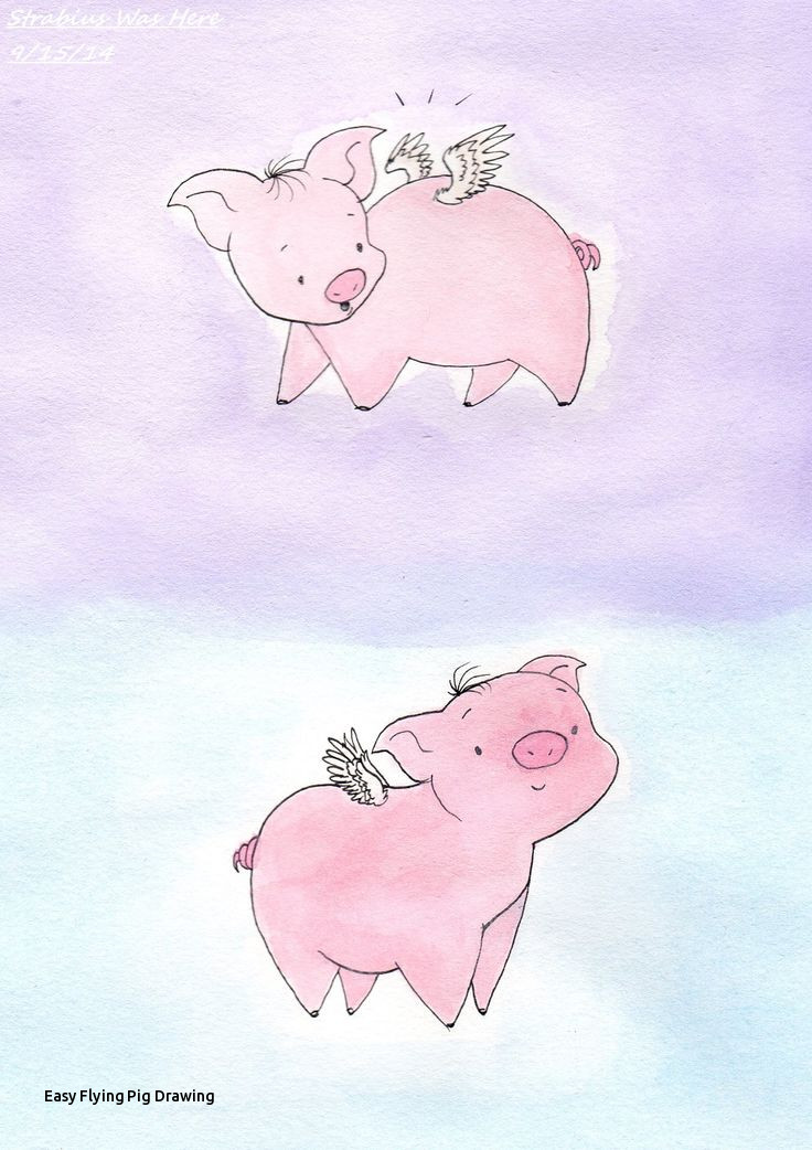 736x1042 easy flying pig drawing best flying pig spot images - Flying Pig Drawing