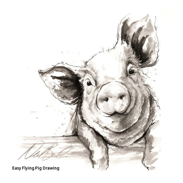 600x600 Easy Flying Pig Drawing I Just Can T Handle This Pig I Would Have - Flying Pig Drawing