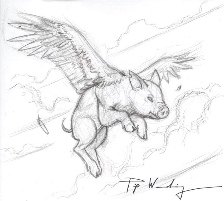850x762 Flying Pig Drawing - Flying Pig Drawing