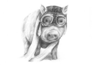 300x212 Flying Pig Drawings Pixels - Flying Pig Drawing