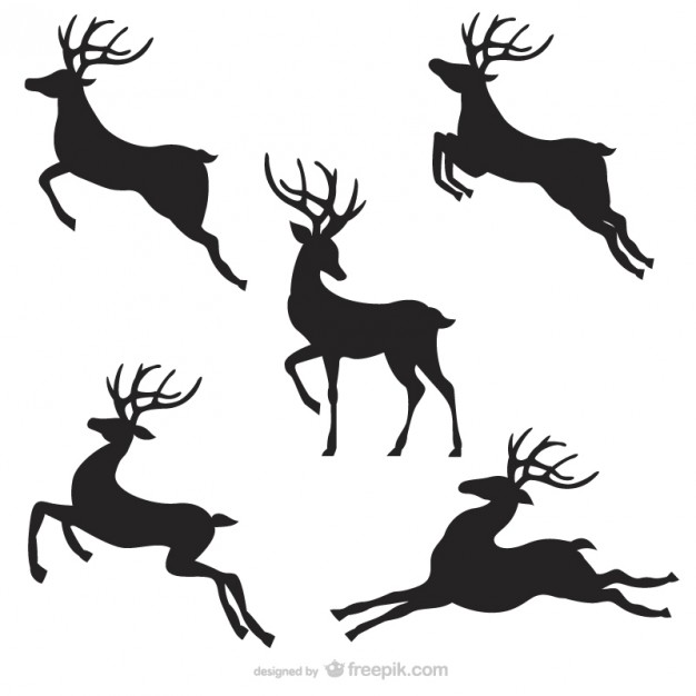 626x626 Reindeer Vectors, Photos And Free Download - Flying Reindeer Drawing
