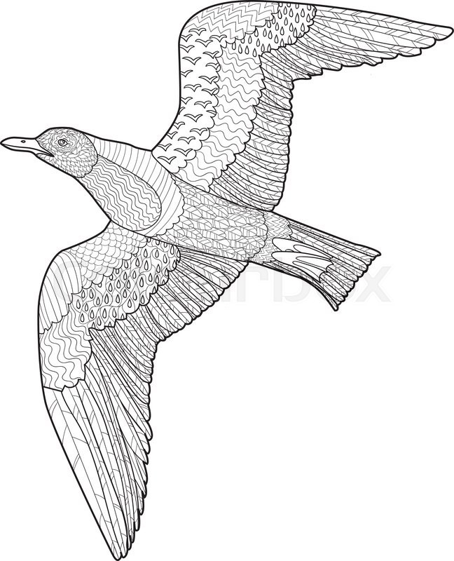 648x800 Flying Seagull With High Details Stock Vector Colourbox - Flying Seagull Drawing