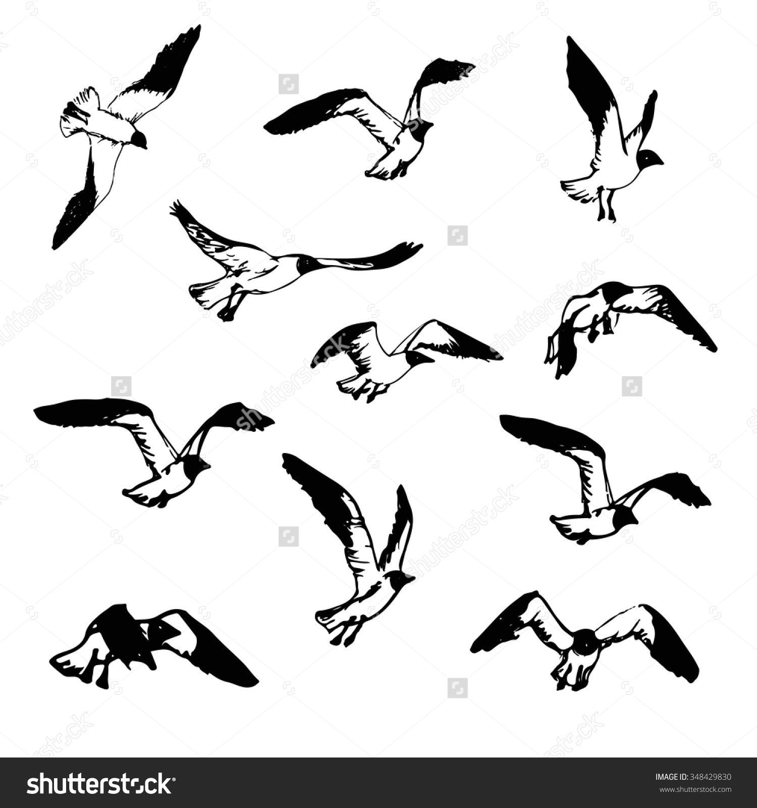 1500x1600 Hand Drawn Flying Seagulls Black And White Illustration Sketch - Flying Seagull Drawing