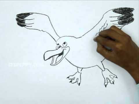 480x360 How To Make A Flying Seagull Bird - Flying Seagull Drawing