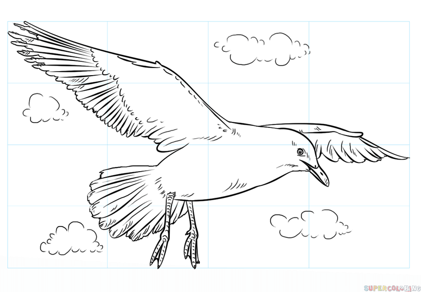 828x575 How To Draw A Seagull Step - Flying Seagull Drawing