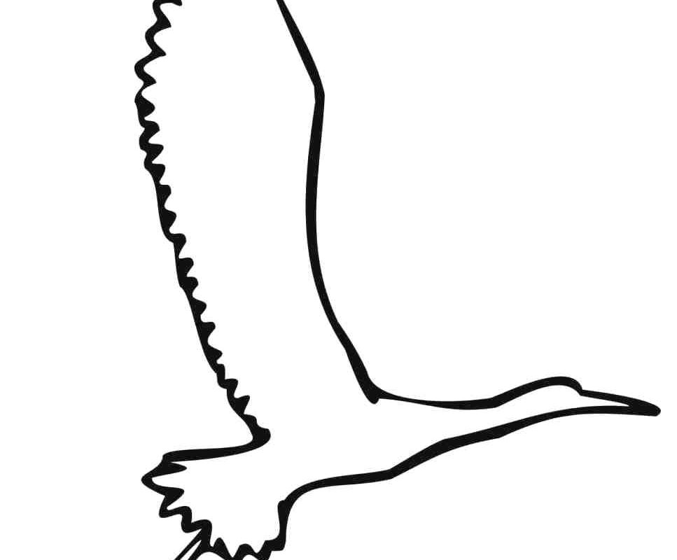 967x800 Seagull Clip Art - Flying Seagull Drawing