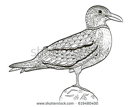 450x358 Coloring Pages To Print Cute Halloween Cat Online Games Flying - Flying Seagull Drawing