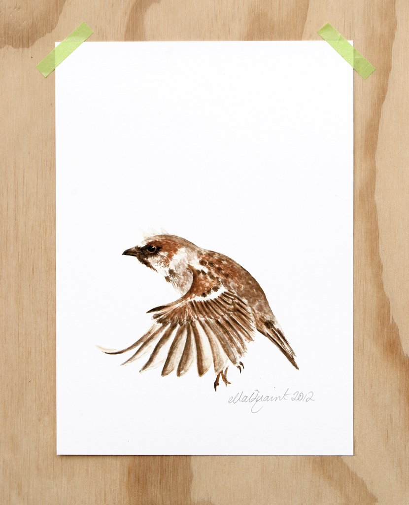 830x1024 Flying Sparrow - Flying Sparrow Drawing