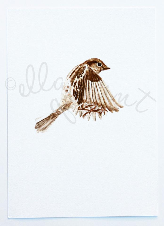 696x960 Flying Sparrow Ellaquaint - Flying Sparrow Drawing