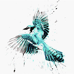 300x300 Flying Sparrow Art Fine Art America - Flying Sparrow Drawing