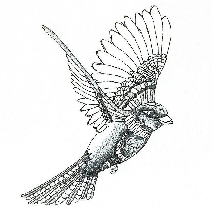Flying Sparrow Drawing at Explore collection of