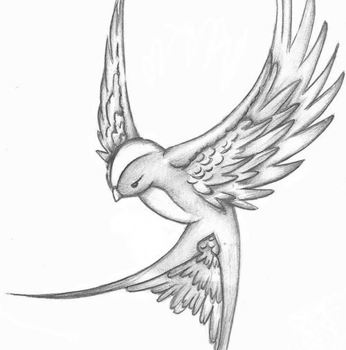 500x506 Flying Sparrow Tattoo Design - Flying Sparrow Drawing