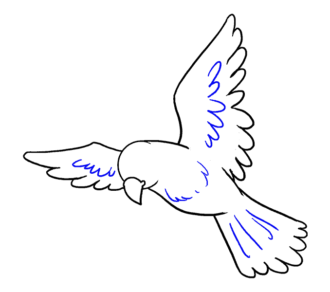 678x600 How To Draw A Bird Easy Step - Flying Sparrow Drawing