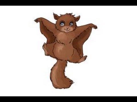 480x360 How To Draw A Flying Squirrel - Flying Squirrel Drawing