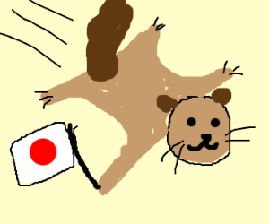 300x250 Japanese Dwarf Flying Squirrel Drawing - Flying Squirrel Drawing