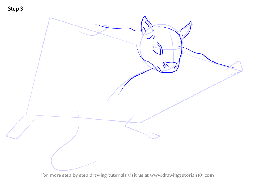 844x598 Learn How To Draw A Northern Flying Squirrel - Flying Squirrel Drawing
