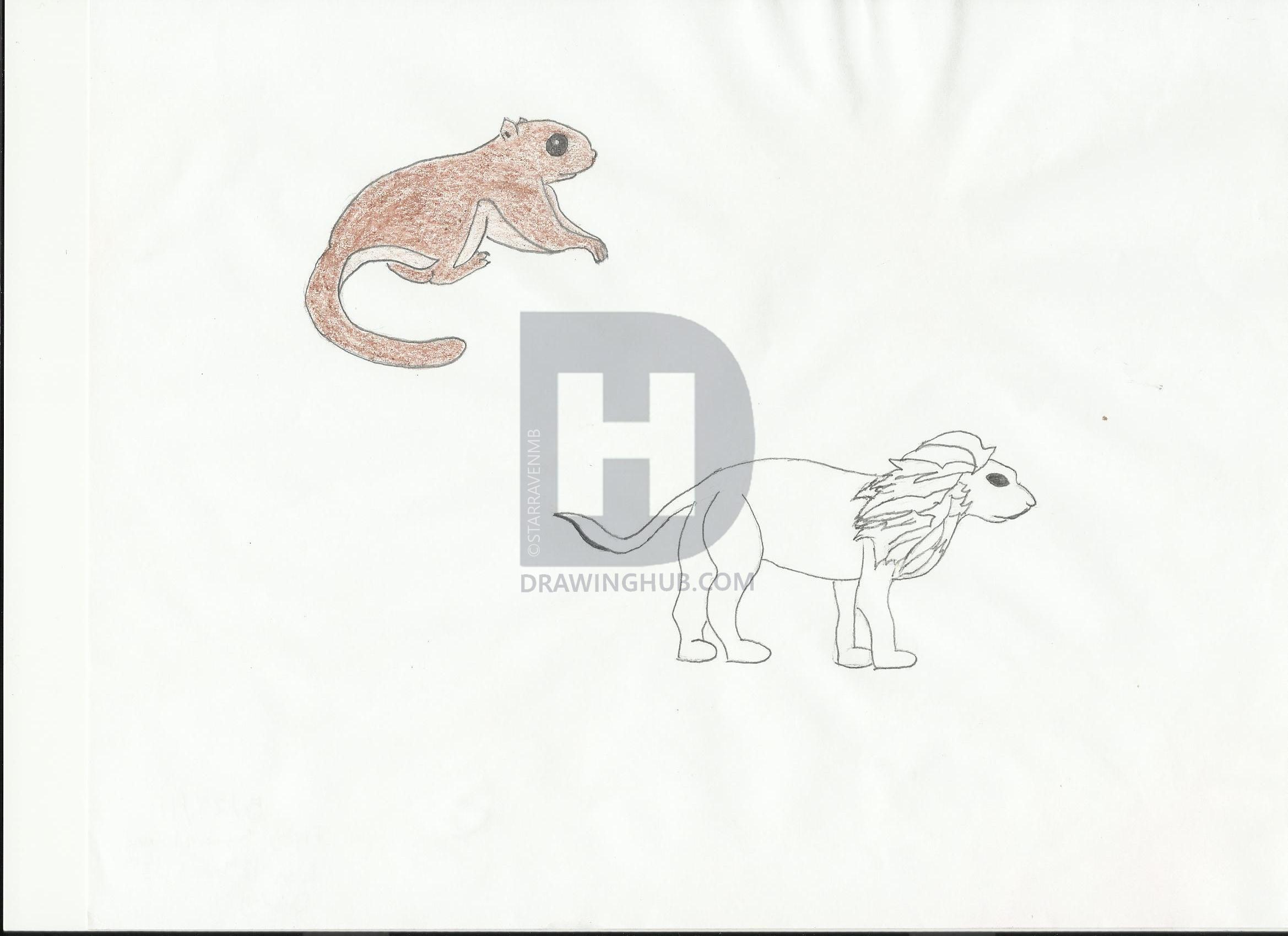 2338x1700 Lion And Flying Squirrel Drawing - Flying Squirrel Drawing