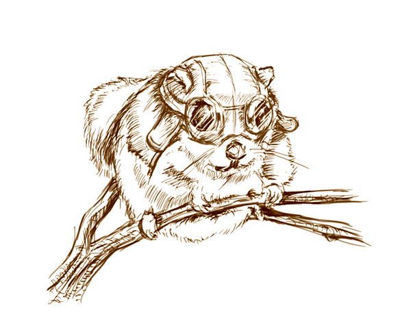 600x488 Momonga The Flying Squirrel On Behance - Flying Squirrel Drawing