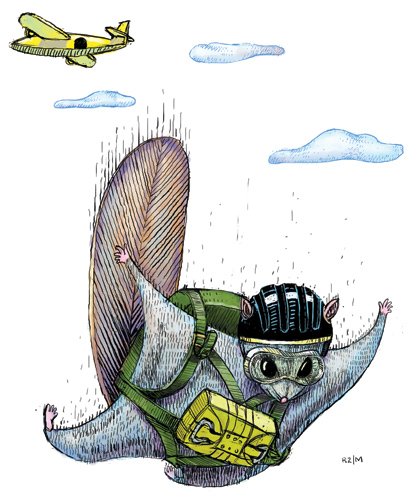 420x497 Secret Squirrel - Flying Squirrel Drawing