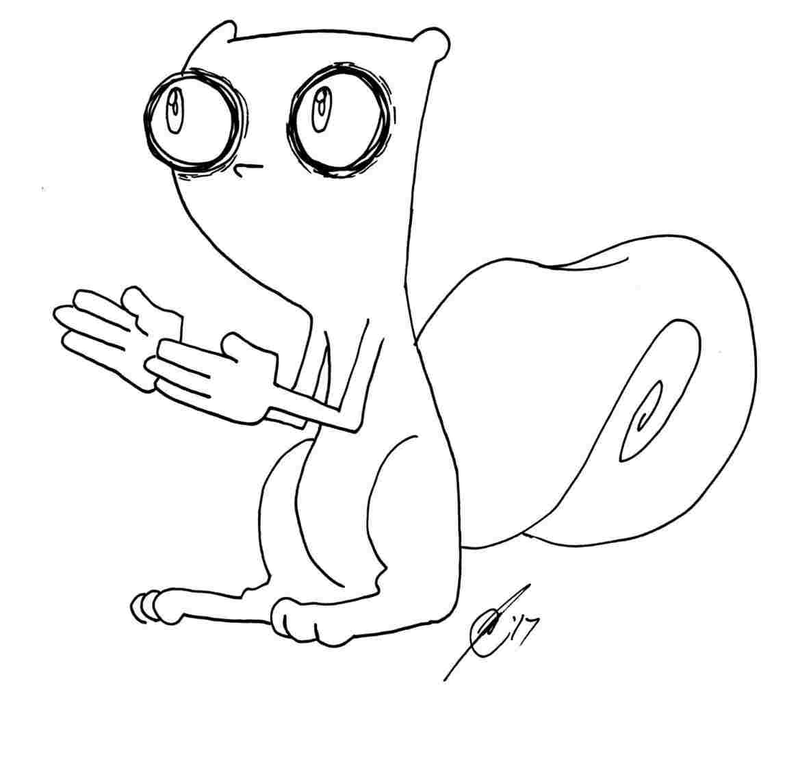 1185x1116 To Draw Easy Things A Flying Squirrel Learn Rhyoutubecom Line - Flying Squirrel Drawing
