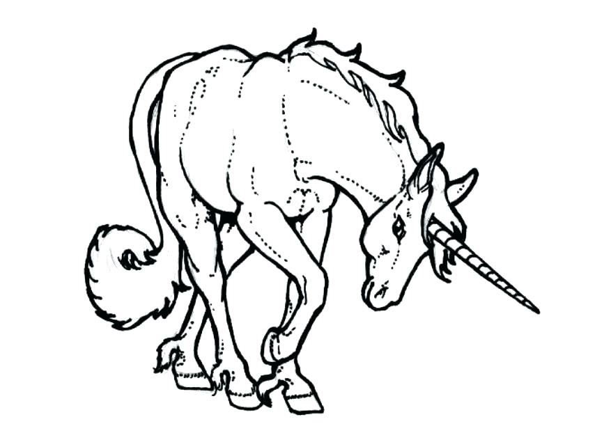 877x622 Free Flying Unicorn Coloring Pages Realistic Sheets Drawing - Flying Unicorn Drawing