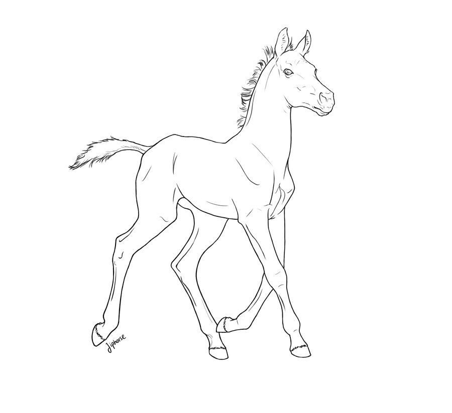 900x823 free foal lineart - Foal Drawing