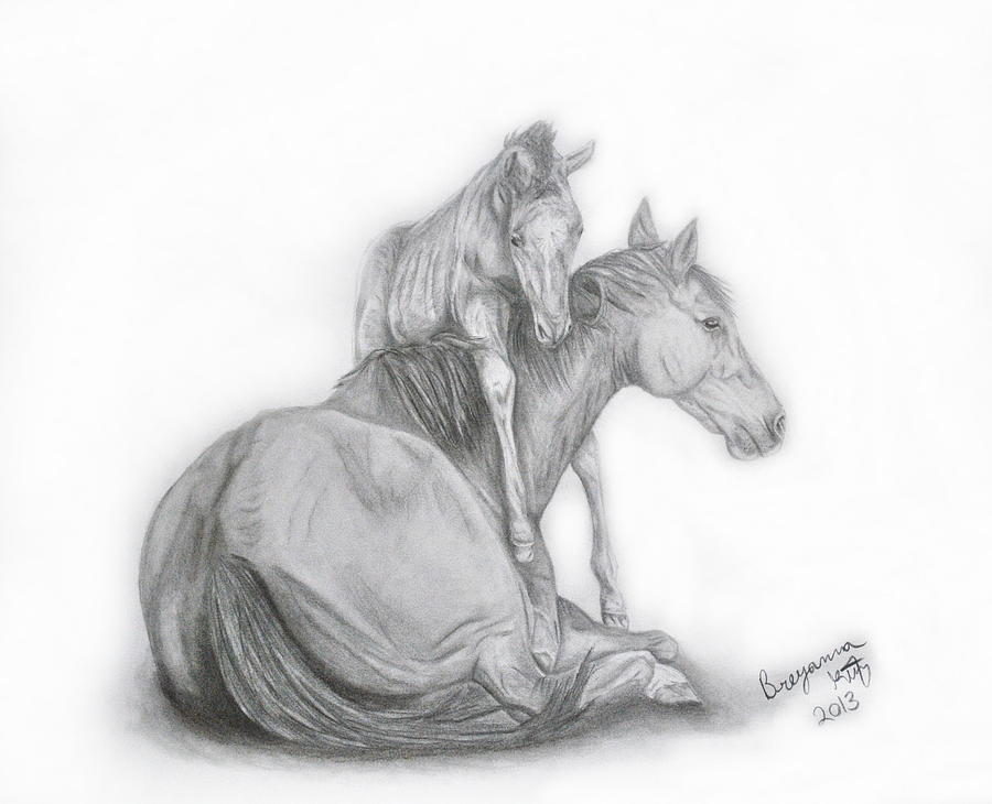 900x730 hug of a foal drawing - Foal Drawing