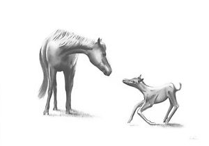 300x210 mare foal equine horse equestrian drawing art picture print - Foal Drawing