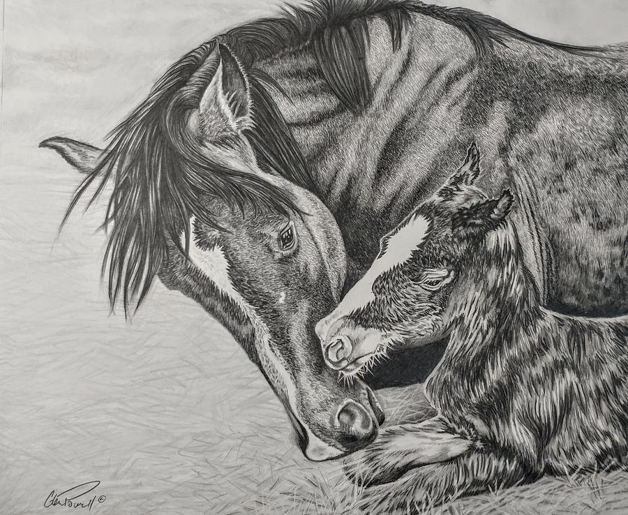 900x738 mare and foal drawing - Foal Drawing