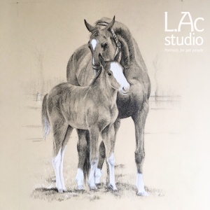 300x300 mare and foal drawing a birthday surprise - Foal Drawing