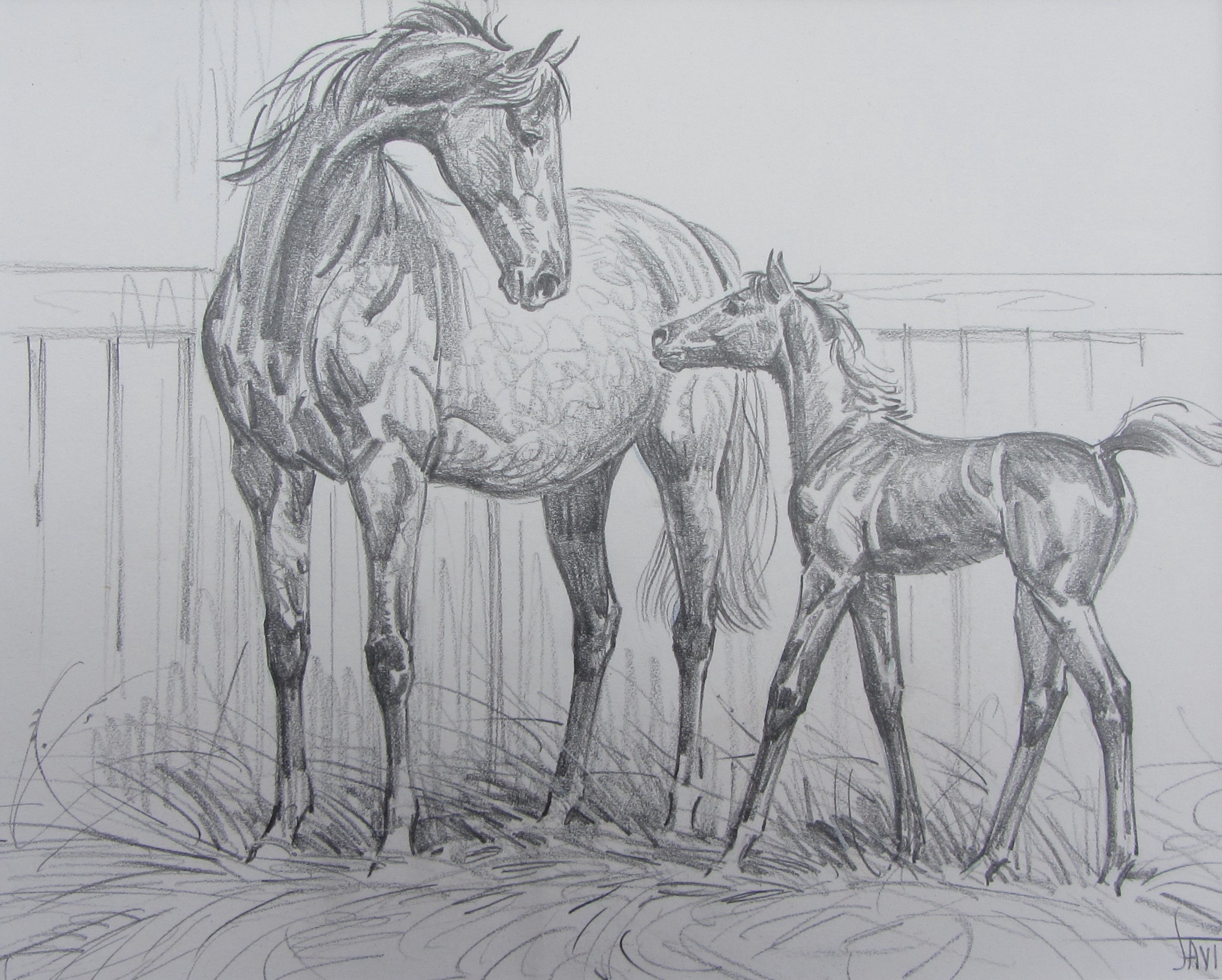 2551x2047 mare and foal pencil drawing original art - Foal Drawing