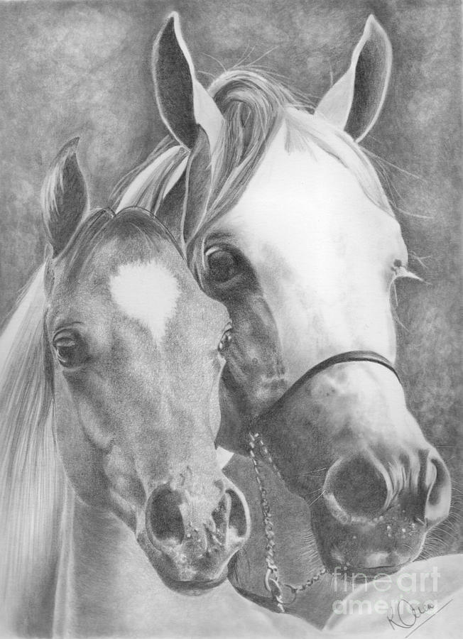 652x900 mother and foal drawing - Foal Drawing