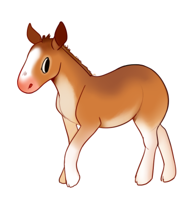 400x406 foal drawing tumblr - Foal Drawing