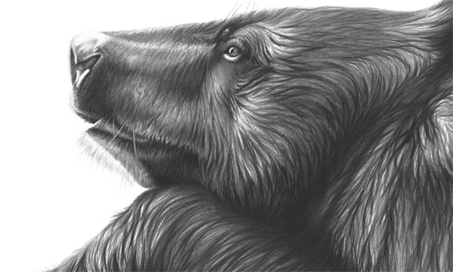 500x300 how to develop a focal point - Focus Drawing