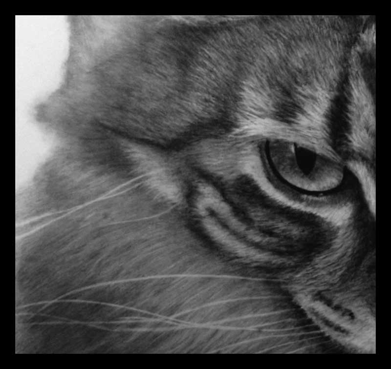800x756 out of focus - Focus Drawing